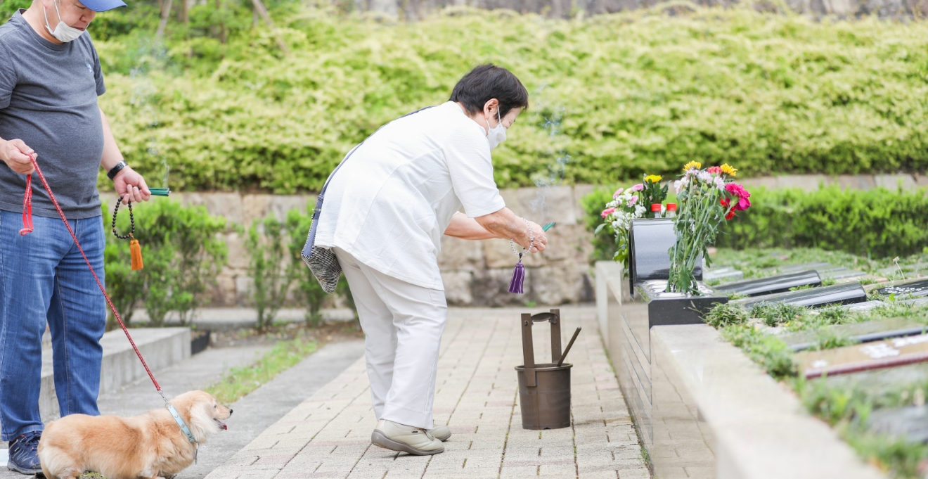 フォトギャラリー