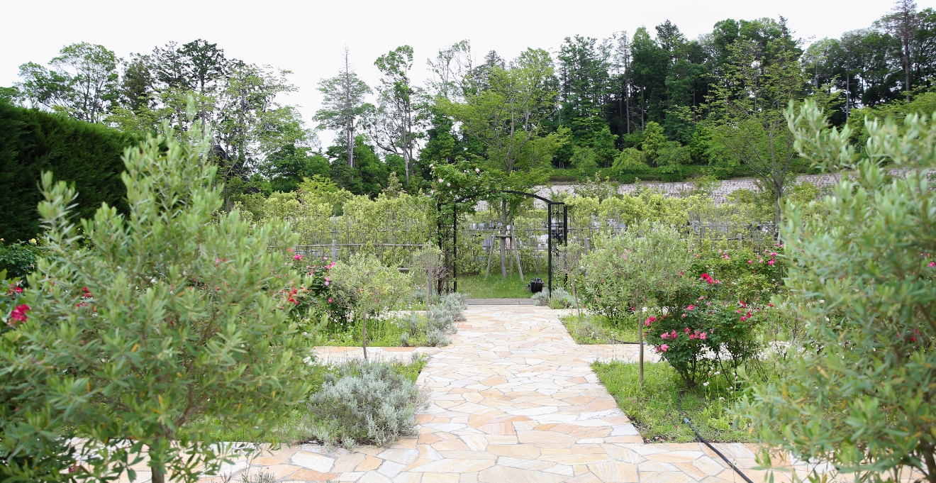 フォトギャラリー