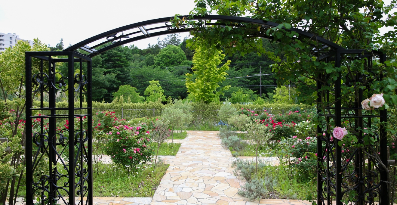 フォトギャラリー