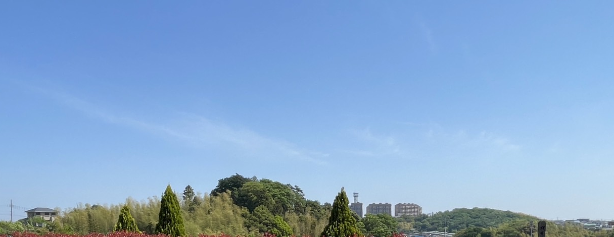 暑さ本番！夏めく季節の到来