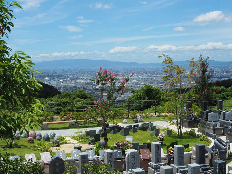 盛夏の百日紅